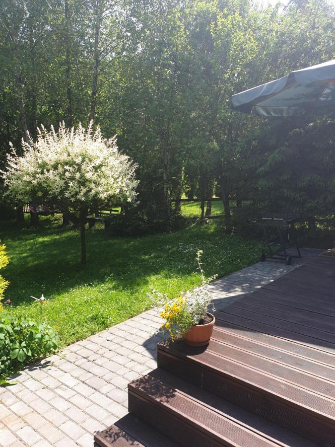 Letniskowe Pod Lasem Koziniec
