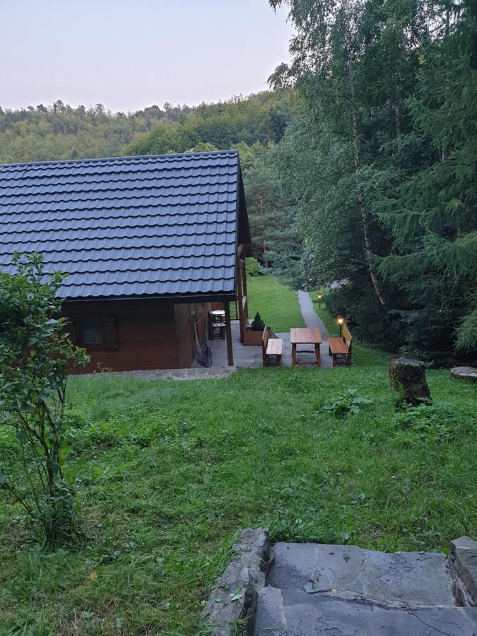 Letniskowe Pod Lasem Koziniec